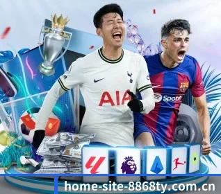 home-site-8868ty.com.cn APP 界面